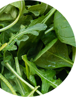 Health ingredient