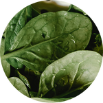 Health ingredient